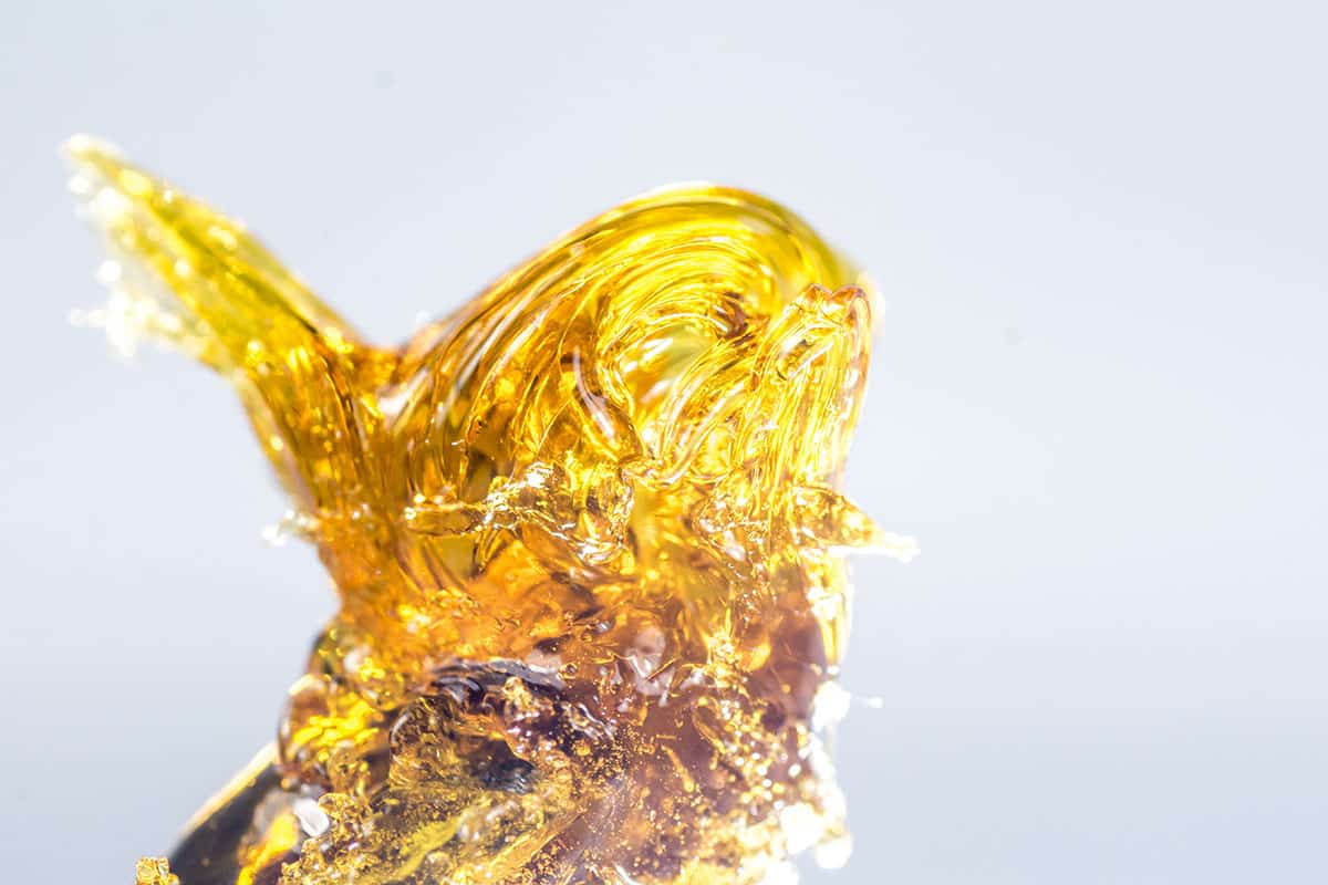 whole plant CBD Extract