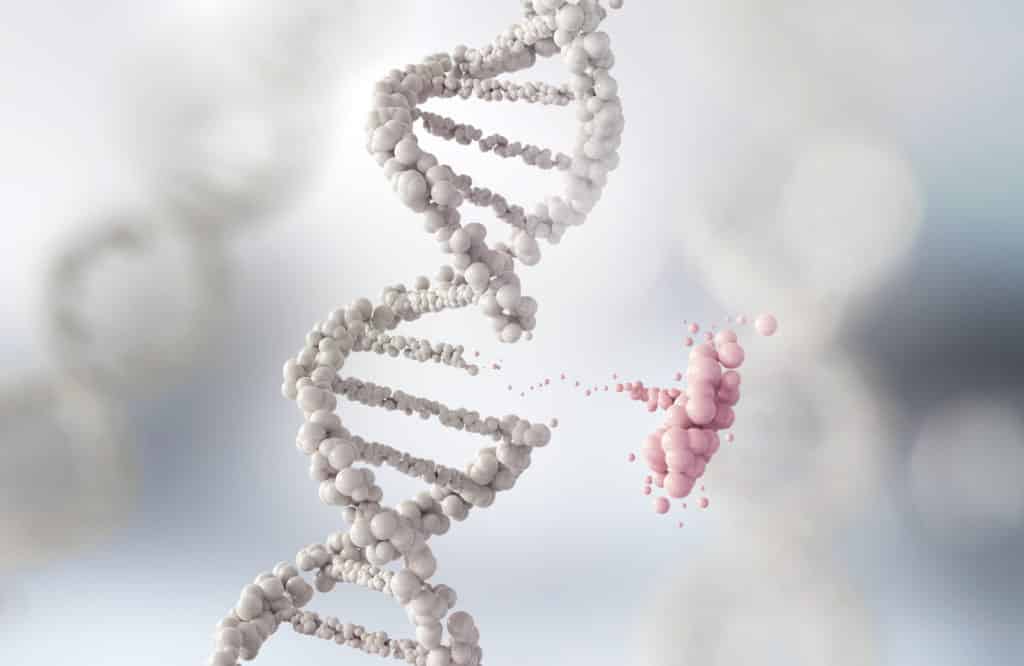 blueforestfarms genetics DNA