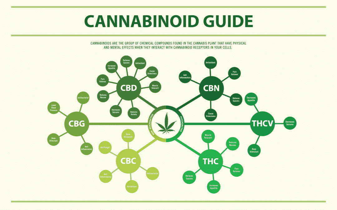 What Is CBDv? | Hemp Industry Blog | Blue Forest Farms