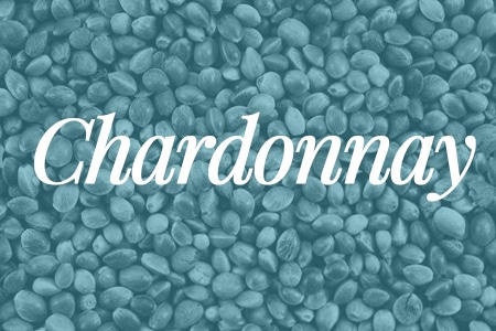 chardonnay-seeds chardonnay seeds 1