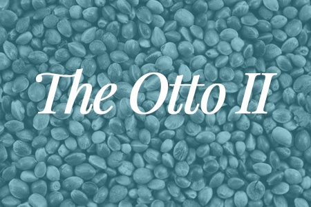 the otto II hemp seeds