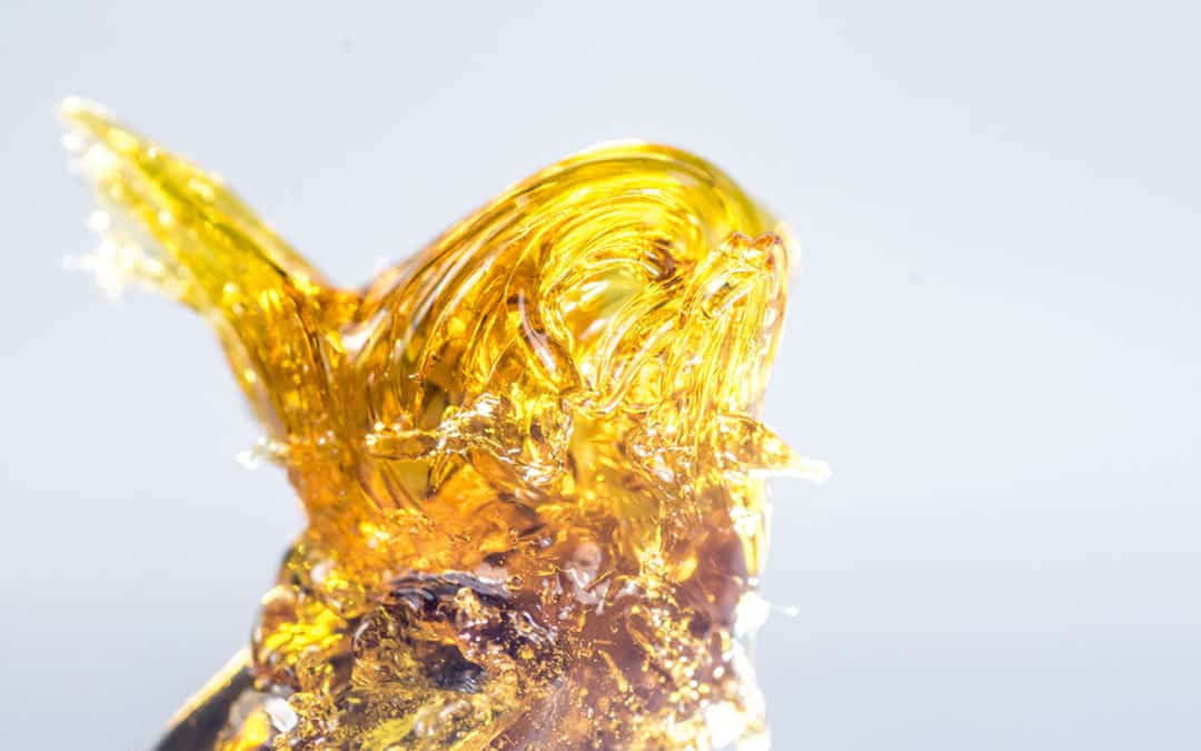 CBD Extracts Guide: How to Choose the Right Cannabidiol Extract