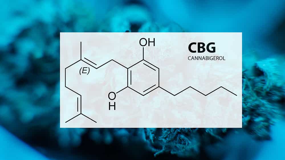 CBG: The Next Big Cannabinoid