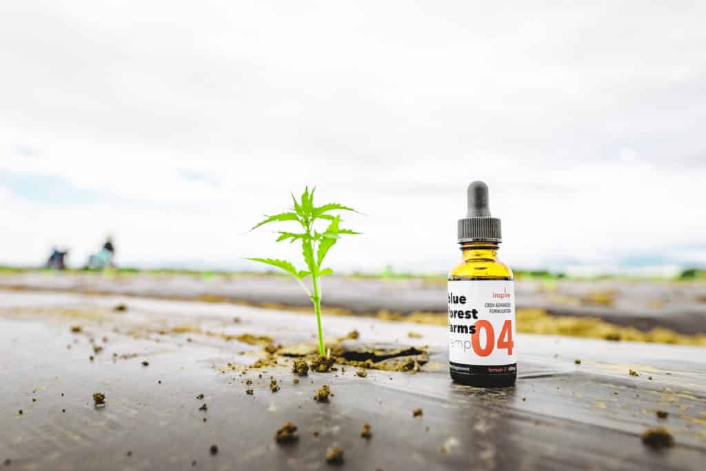 Why Organic CBD is Important 2 DSC01914