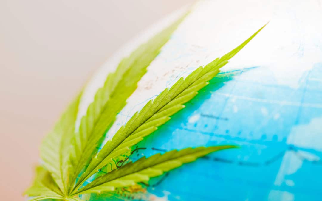 3 Ways Hemp Can Help the Planet