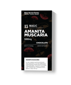Chocolate Box Amanita 1